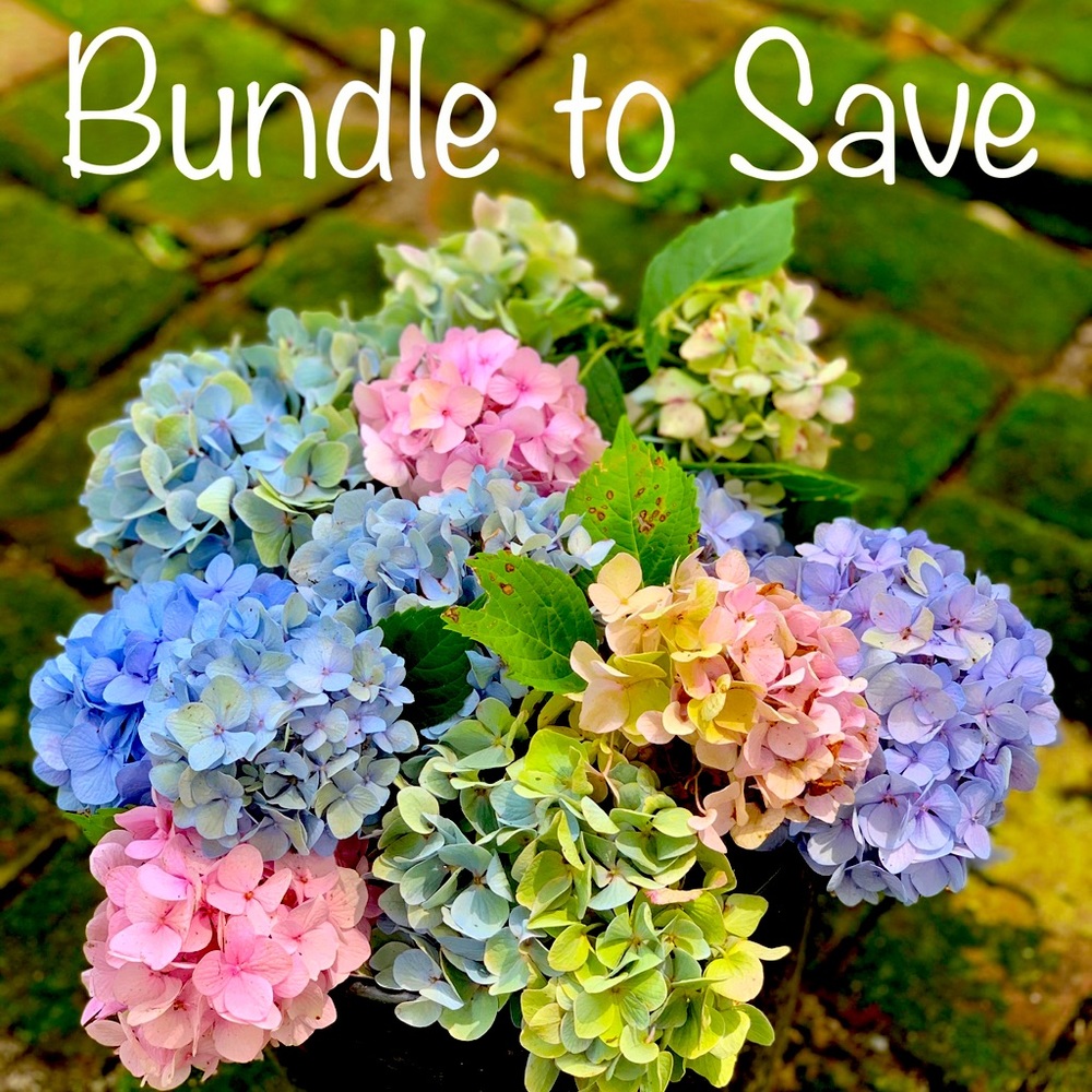 Bundle to Save!